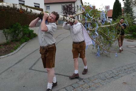 2010-05-01-16-39 Maibaum 036