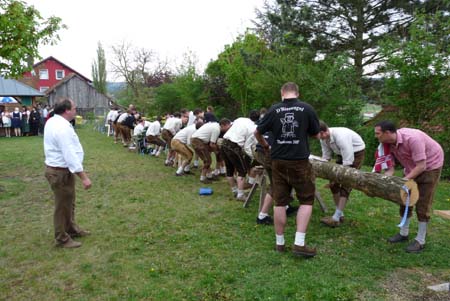 2010-05-01-16-41 Maibaum 043