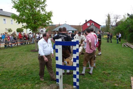 2010-05-01-16-42 Maibaum 044