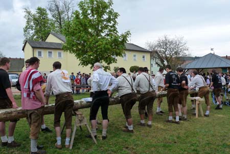 2010-05-01-16-42 Maibaum 045