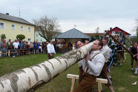 2010-05-01-16-49 Maibaum 056