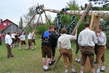 2010-05-01-16-56 Maibaum 064