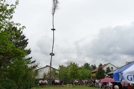 2010-05-01-17-17 Maibaum 083