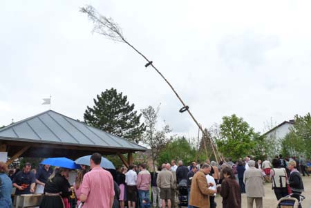 2010-05-01-17-20 Maibaum 087