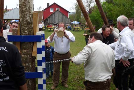 2010-05-01-17-33 Maibaum 098