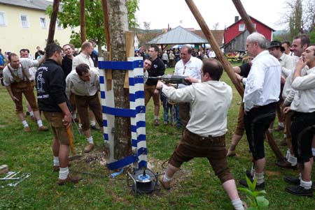 2010-05-01-17-33 Maibaum 099