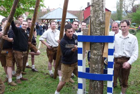 2010-05-01-17-33 Maibaum 100