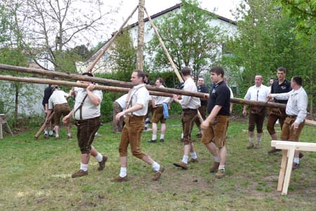 2010-05-01-17-37 Maibaum 106