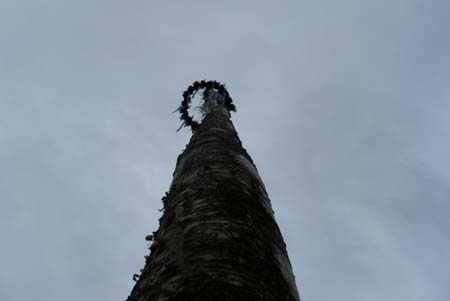 2010-05-01-17-42 Maibaum 109